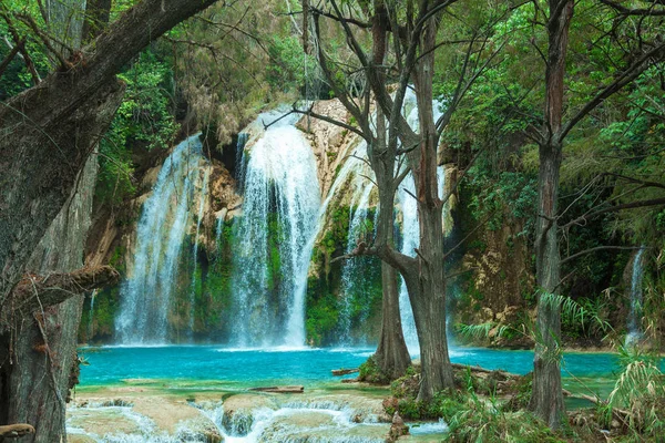 Cachoeira pitoresca escondida na floresta — Fotografia de Stock