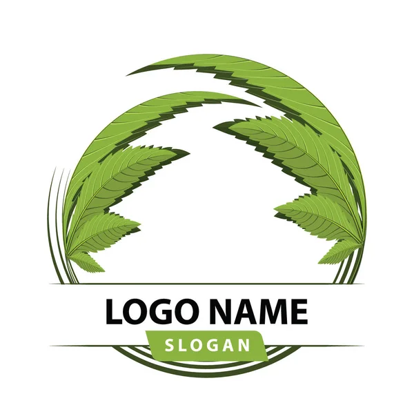Медицинская Марихуана Логотип Зеленого Листа Конопли Векторная Иллюстрация — стоковый вектор