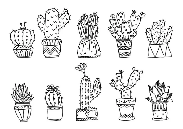 Conjunto Plantas Cactus Dibujadas Mano Aloe Vera Cactus Macetas Ilustración — Archivo Imágenes Vectoriales