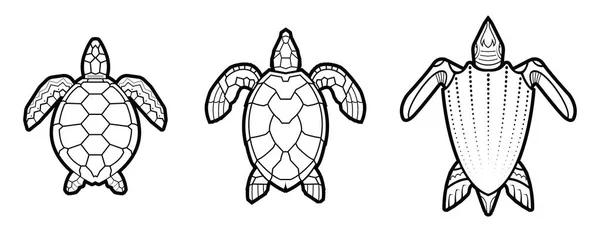 Havssköldpaddan ikonen. djur som vektorillustration — Stock vektor