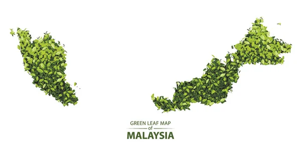 Peta daun hijau dari gambar vektor malaysia dari hutan adalah co - Stok Vektor