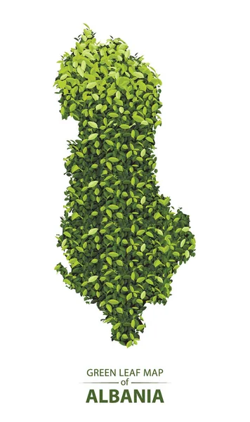 Carte des feuilles vertes d'albania illustration vectorielle d'une forêt est con — Image vectorielle