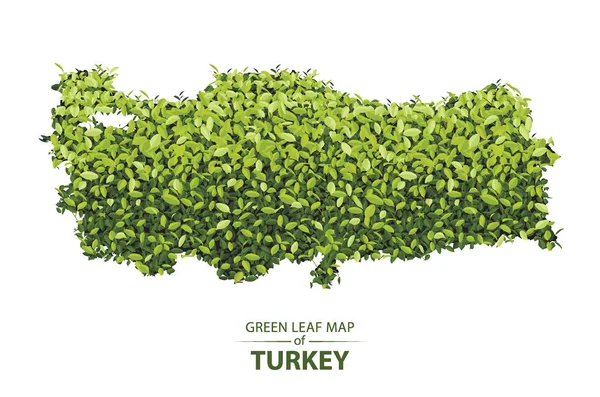 火鸡向量的绿色叶子地图森林例证是 conc — 图库矢量图片