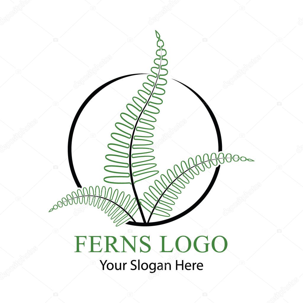 Leaf of a green fern. hand drawn for your design or logo. Vector illustration.