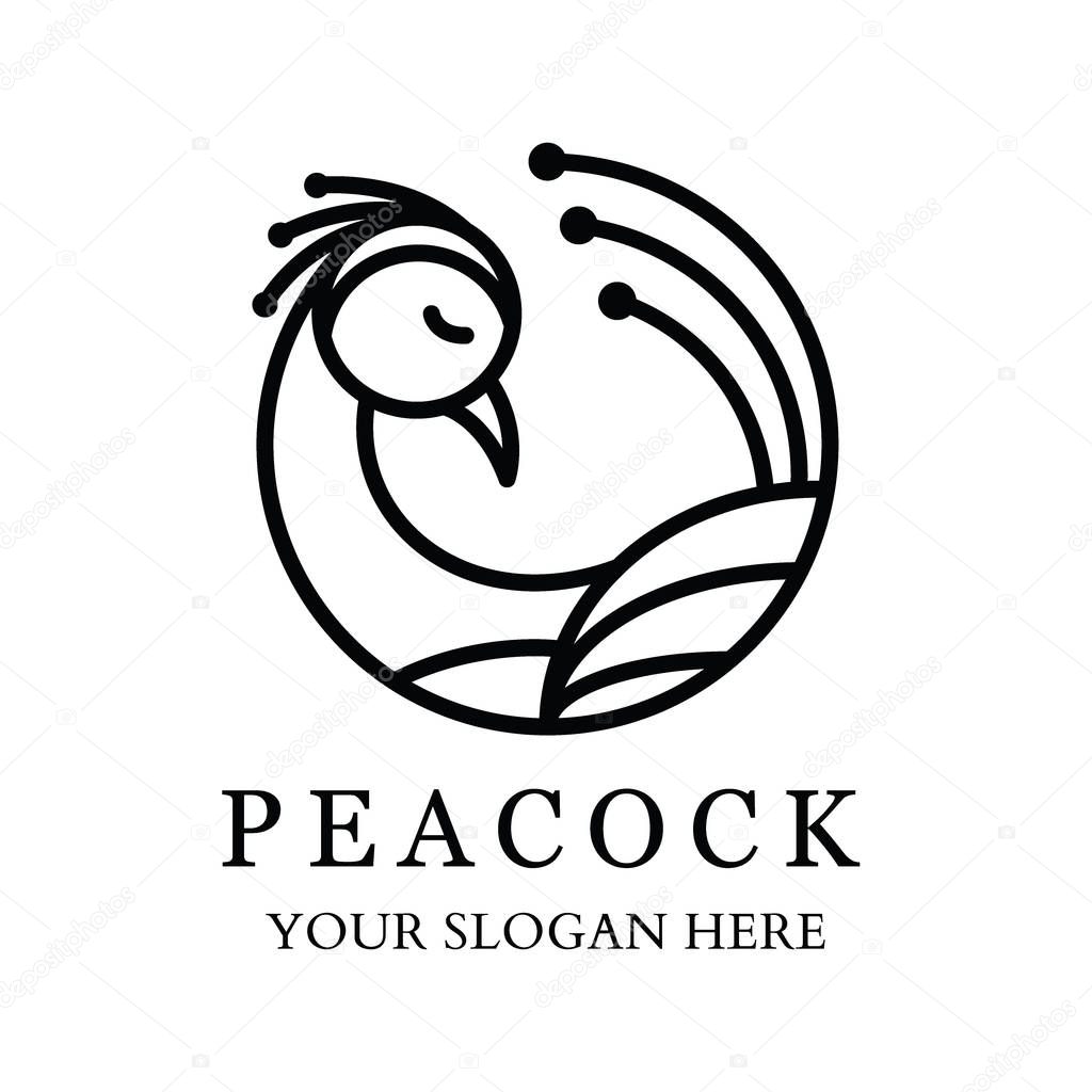 Peacock Logo with line design. Luxury style. bird vector illustration.
