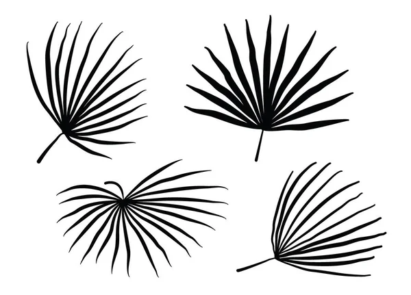 棕榈椰子叶剪影矢量集 — 图库矢量图片