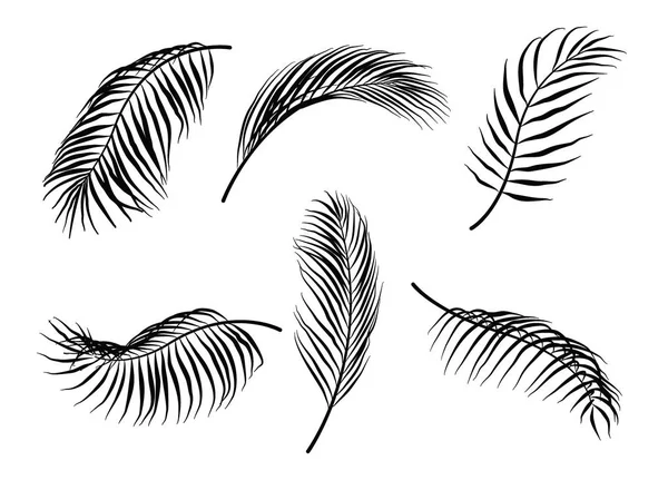 Palm Coconut Leaf silhouettevector set Stock Vector Image by ©lumyaisweet #277871106 Palm Coconut Leaf silhouettevector set Stock Vector Image by ©lumyaisweet #277871106