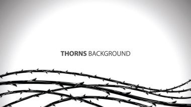 Dikenler şık arka plan ile Blackthorn dalları.