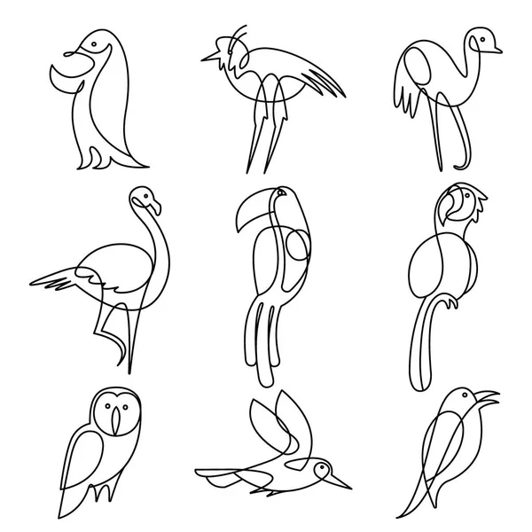 Aves línea continua elementos de dibujo conjunto . — Vector de stock