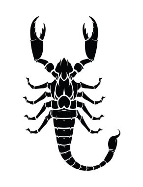 Vector black silhouette of a Scorpion