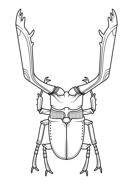 Escarabajo Escarabajo Egipcio Arte Del Tatuaje Vintage Dibujado Mano Ilustración — Vector de stock