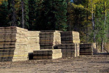 Muskeg yollar oluşturmak için kullanılan bataklık paspaslar yığınları