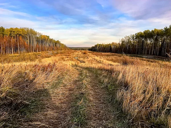 View of a quadding trail through a cutline in fall — Stock Photo, Image