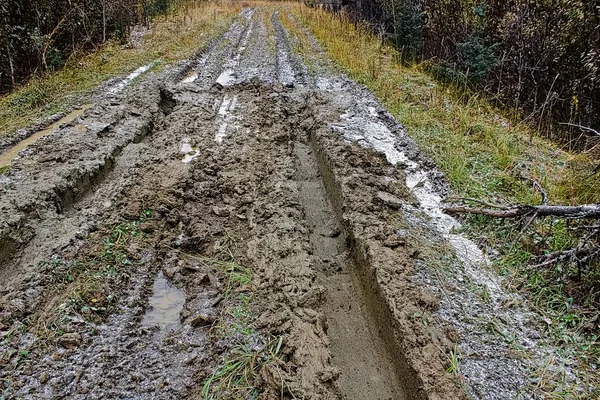 Closeup of a muddy road full of ruts — Stock Photo, Image