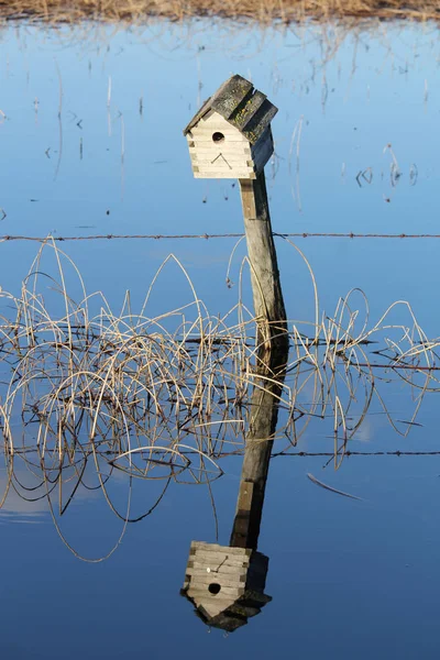 Ptačí budka na plotě s odrazem ve vodě — Stock fotografie