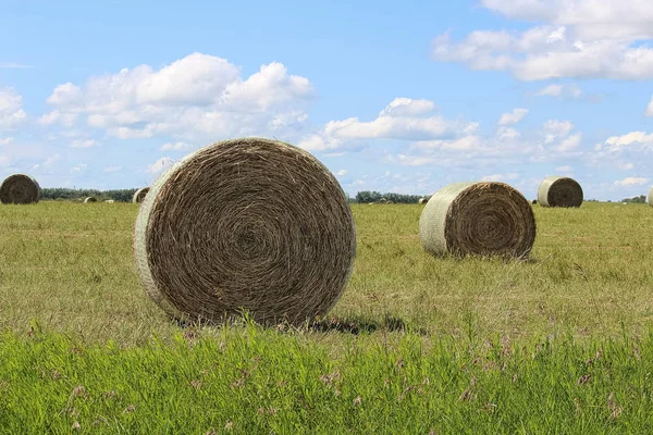 Gros plan d'un motif circulaire de caution de foin — Photo