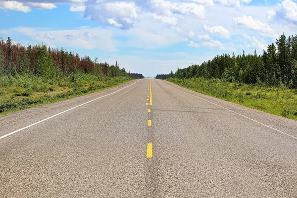 The center line of a highway disappearing into the distance