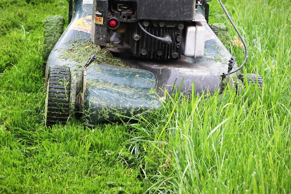 Närbild av en gräsklippare klippa högt gräs — Stockfoto