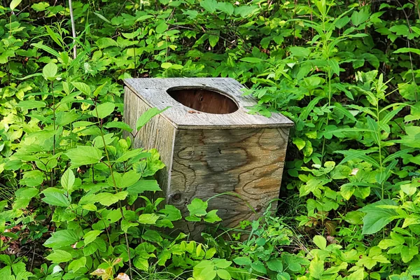 Egy WC ülőke az erdő közepén. — Stock Fotó