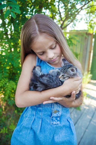 Menina Com Gatinho Cinza Suas Mãos — Fotografia de Stock