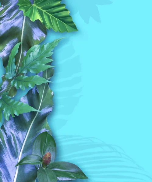 Verticale Uitnodigingskaart Set Met Tropische Bladeren Kan Gebruikt Worden Als Stockafbeelding