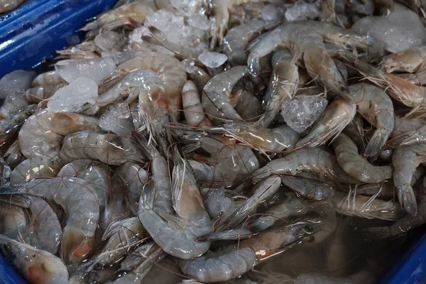 Färska Räkor För Matlagning Marknaden Thailand — Stockfoto