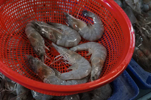 Färska Räkor För Matlagning Marknaden Thailand — Stockfoto