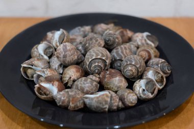 Plaka ünlü Tay Caddesi üzerinde ızgara sarmal babylon salyangoz 