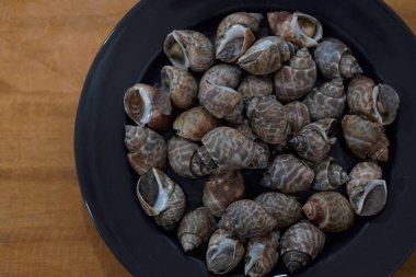 Plaka ünlü Tay Caddesi üzerinde ızgara sarmal babylon salyangoz 