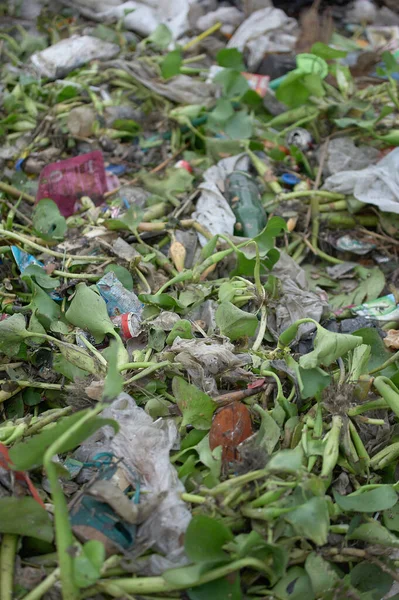 Çöp atığı arazisi, bir sürü atık çöp, plastik, şişe, arka plan kağıdı, çöplükten gelen kirlilik.