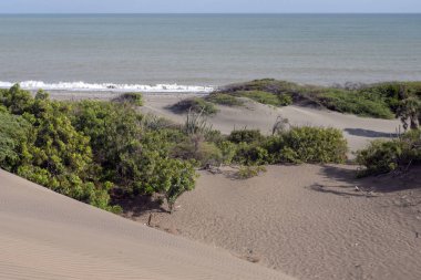 Çöl ve deniz, kumul, doku kum