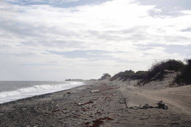 Çöl ve deniz, kumul, doku kum