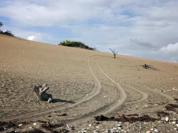 Traces Tire Tread Sand Desert Road — Stock Photo, Image