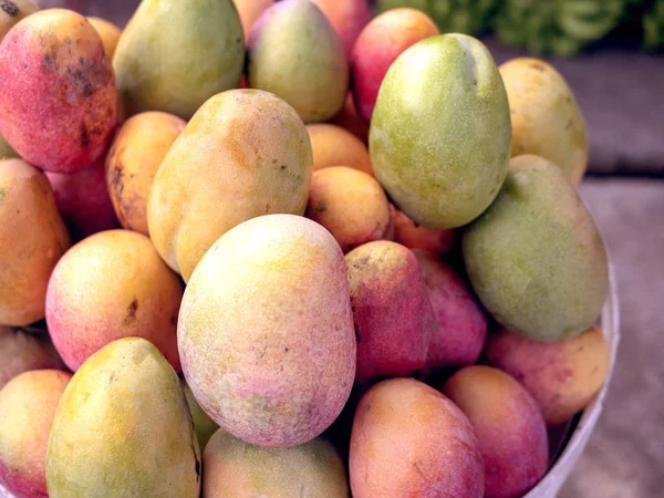 Velké Mango Ovoce Zahrada — Stock fotografie