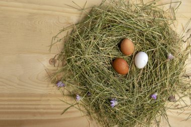 Tavuk yumurtası saman ahşap arka plan üzerinde bir yuva