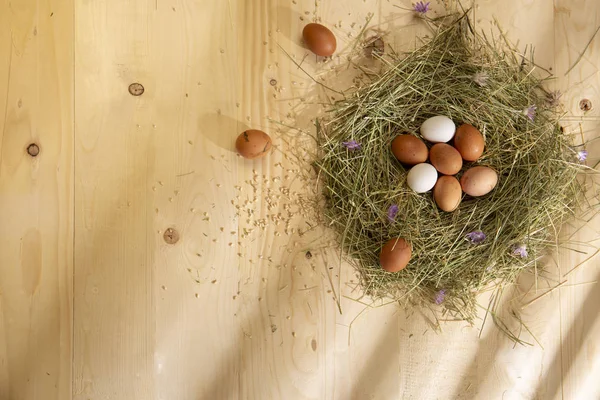 Œufs Poulet Dans Nid Foin Sur Fond Bois — Photo