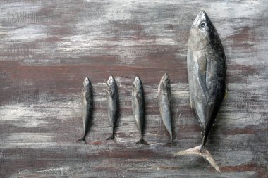 Balık, ton balığı ahşap arka plan üzerinde