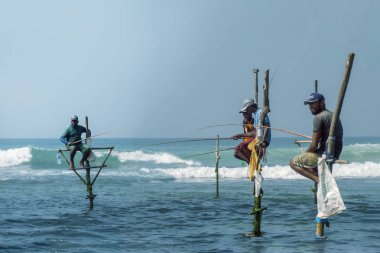 Sri Lanka, Galle Şubat 2, 2019 Sri Lanka, resif balık balıkçılar