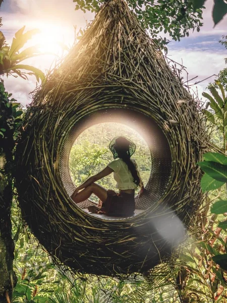 巨大な巣の少女はジャングルを見る。エコロジー、エコハウジング、ハーモニー — ストック写真