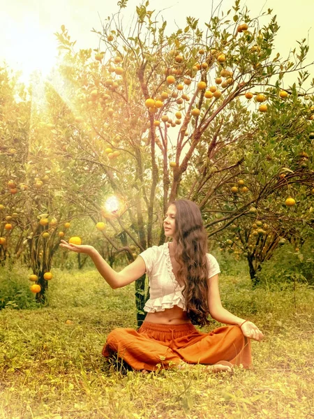 Mujer joven en el jardín de mandarina, arrancando fruta del árbol — Foto de Stock