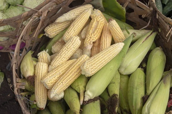 Espiga de milho em cesta, fundo — Fotografia de Stock