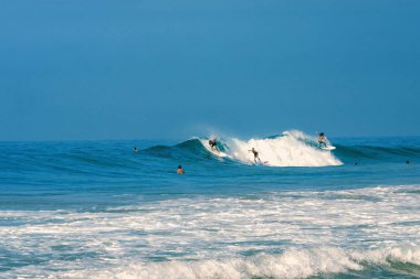 Okyanusta bir dalga surfer.