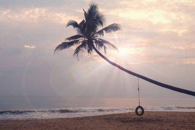 deniz üzerinde bir salıncak tekerleği ile palmiye ağacı. Konum plaj, gün batımı