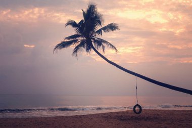 deniz üzerinde bir salıncak tekerleği ile palmiye ağacı. Konum plaj, gün batımı