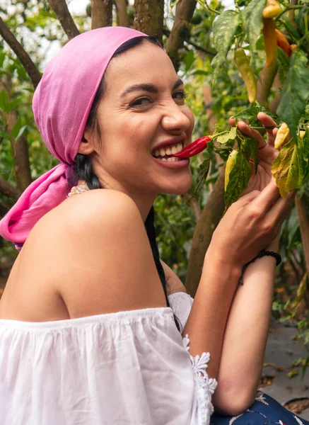 Mladá Žena Farmě Ochutnávka Horké Papriky Zahradě — Stock fotografie