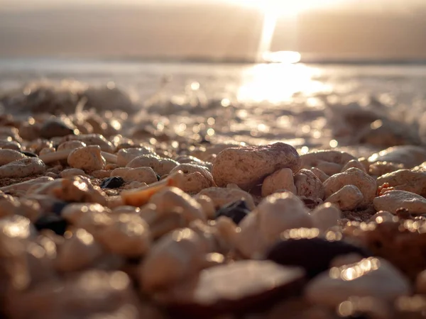 Zeestenen Koralen Het Strand Zee Onscherpte — Stockfoto