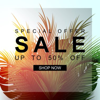Yaz satış arka plan palmiye yaprağı. Özel Fırsat. Satılık %50 off kadar. Güneş ışığı ile doğa arka plan, 
