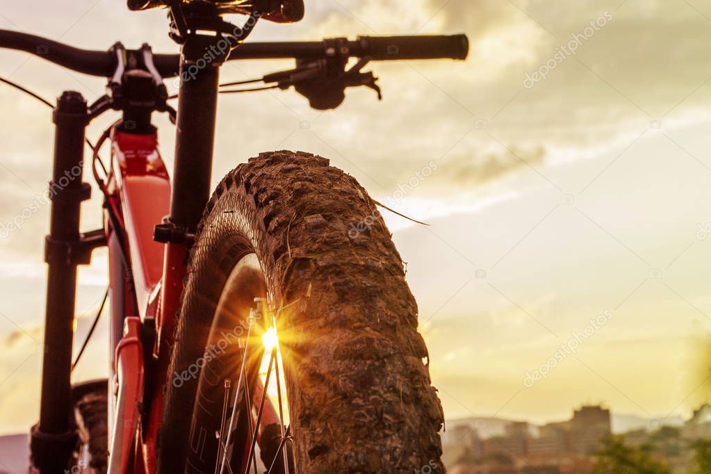Back shot of mountain bike on sunset . Rear wheel. Mountain bike tire.