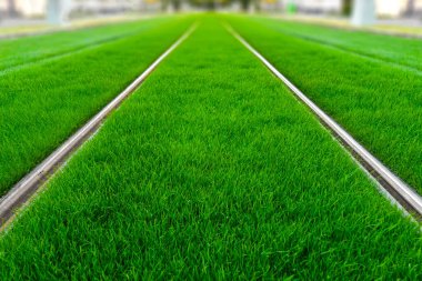 Yeşil hat. Çimenlerle kaplı tramvay yolu. Şehirdeki yeşillik. Yaşanabilir bölge kentsel ısıyı azaltır. Ada etkisi.