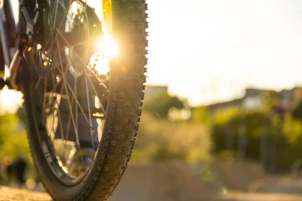 Back shot of mountain bike rear wheel. Bicycle wheels close up image on sunset. — Stock Photo, Image